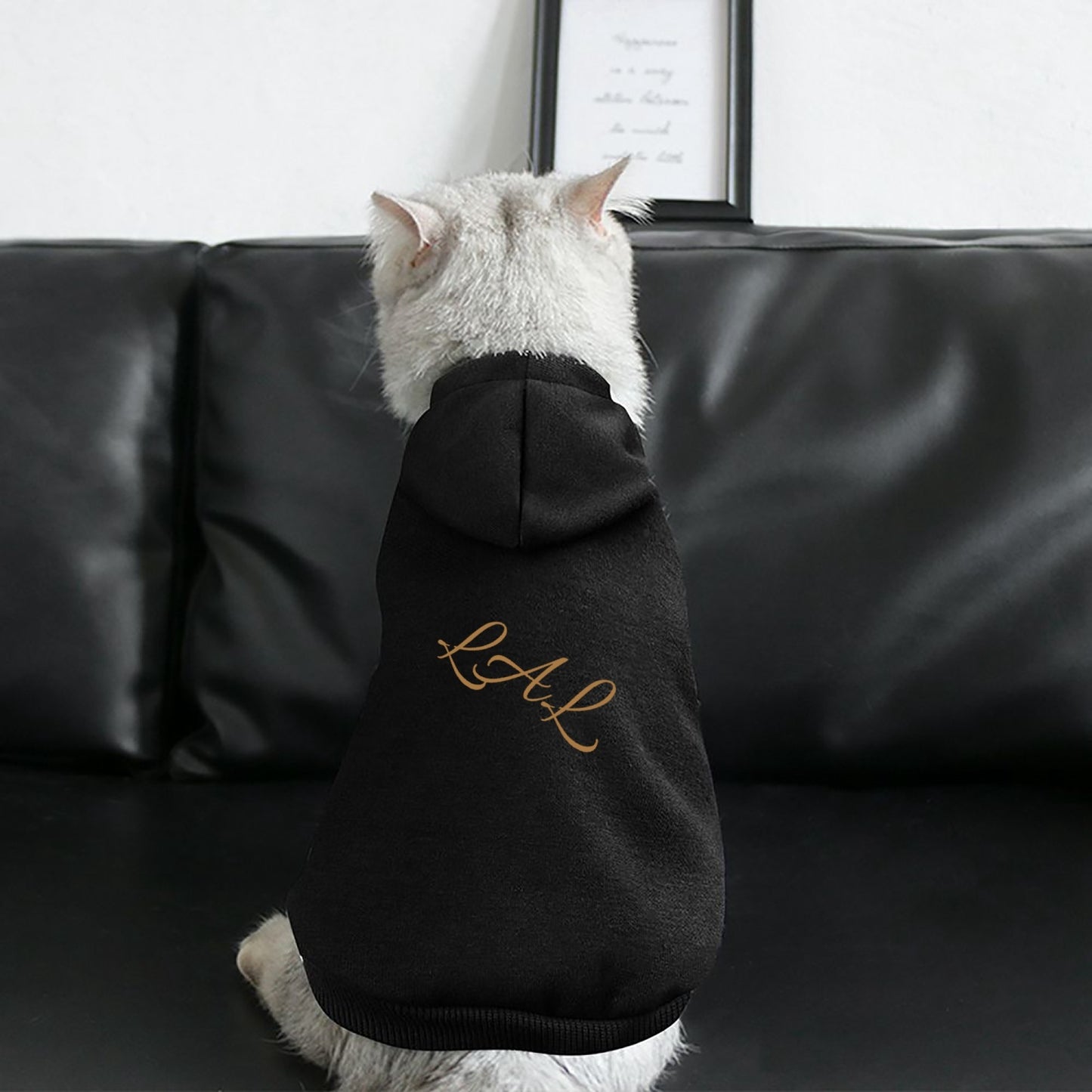 Veste pour chien LAL